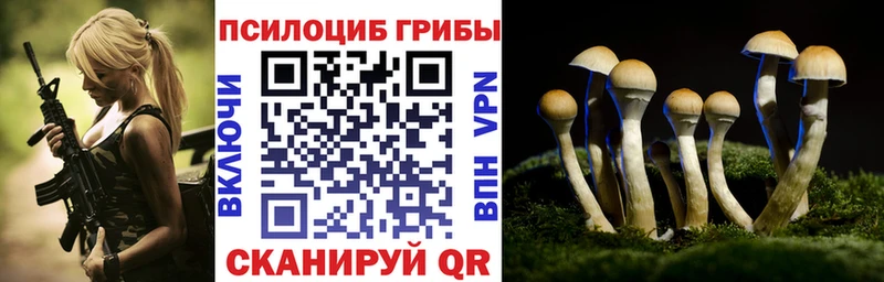 купить наркотик Гатчина Псилоцибиновые грибы прущие грибы