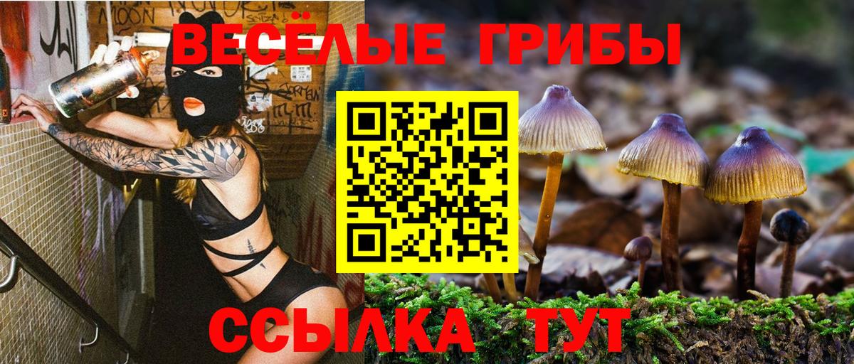 Псилоцибиновые грибы мухоморы Гатчина