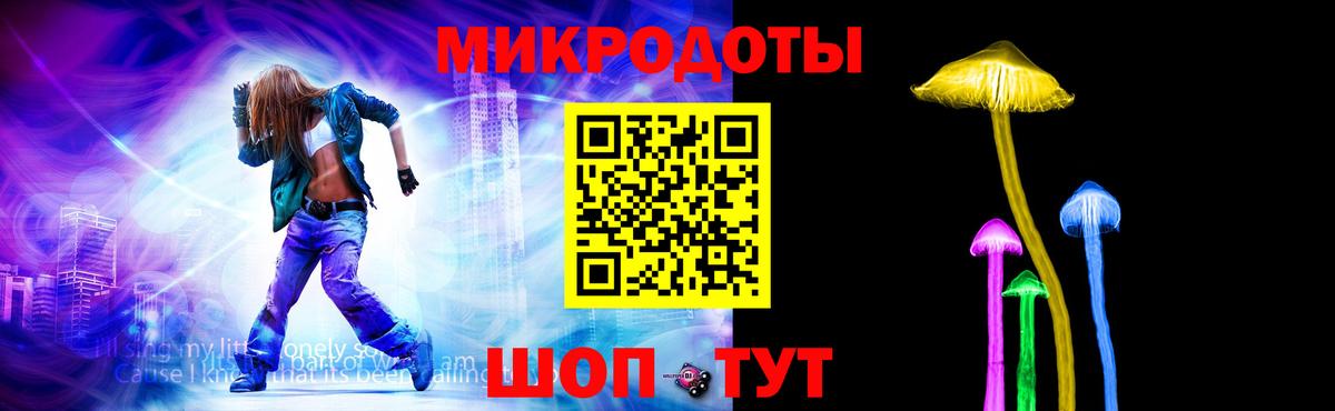 Галлюциногенные грибы Psilocybine cubensis Гатчина